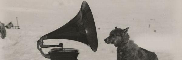 StephanRegoli's profile banner image