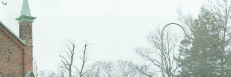 _TP_P's profile banner image