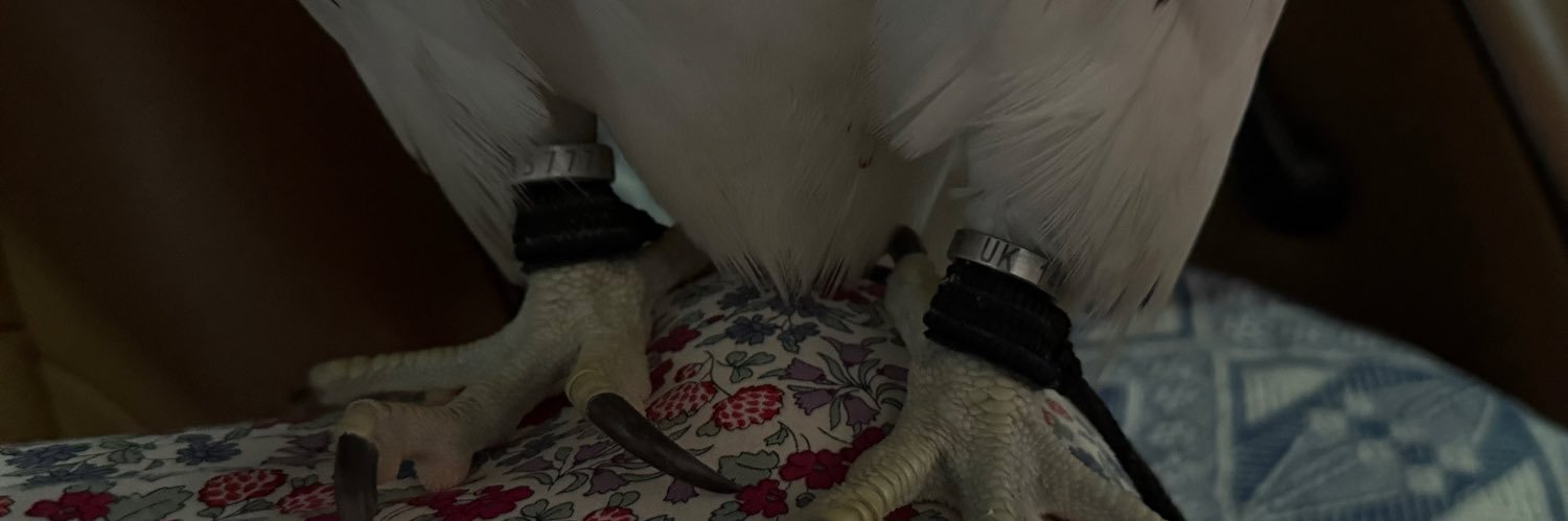 dd7hr's profile banner image