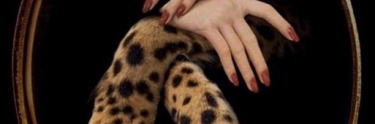 s_bilgee's profile banner image