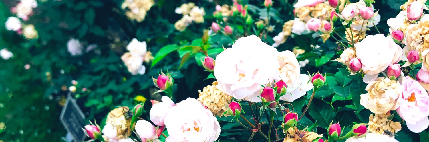 salllllami's profile banner image