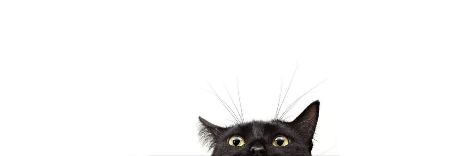 pp banner
