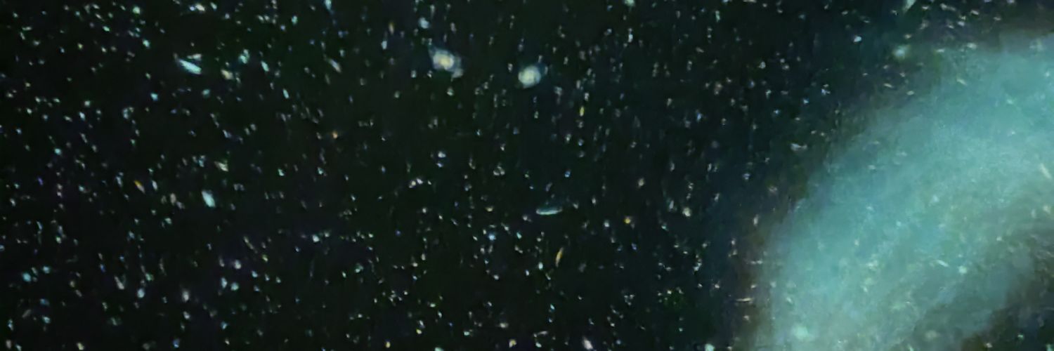 Owner of Benz without Z banner