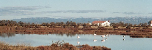 guillemcs_ Profile Banner