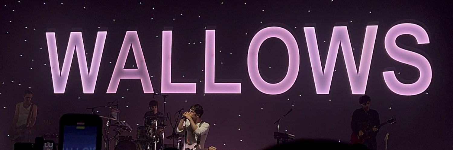 nessa ✩₊˚.⋆☾⋆ banner