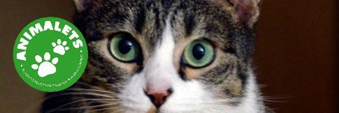 Animalets La Llagosta banner