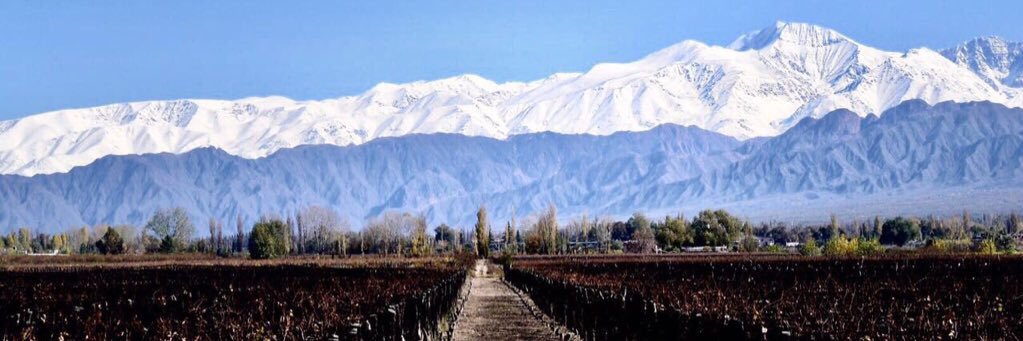 🇦🇷🇮🇹 💪🏻 🇸🇪 banner