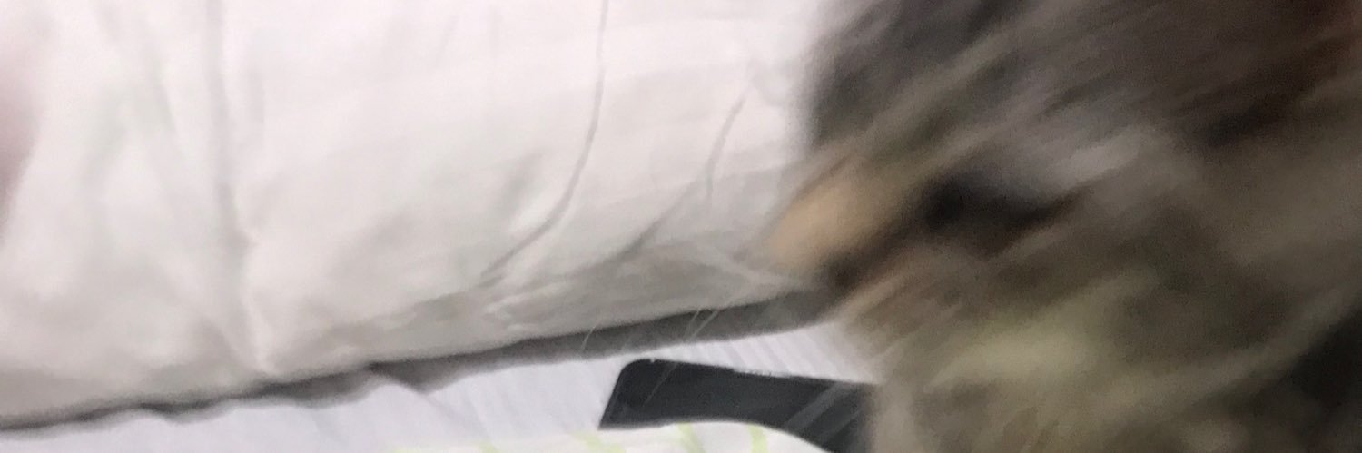 มอเมล banner