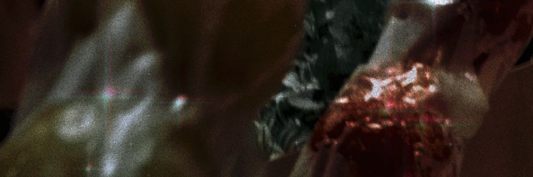 展枝 banner