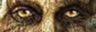 lubisz koksik? banner