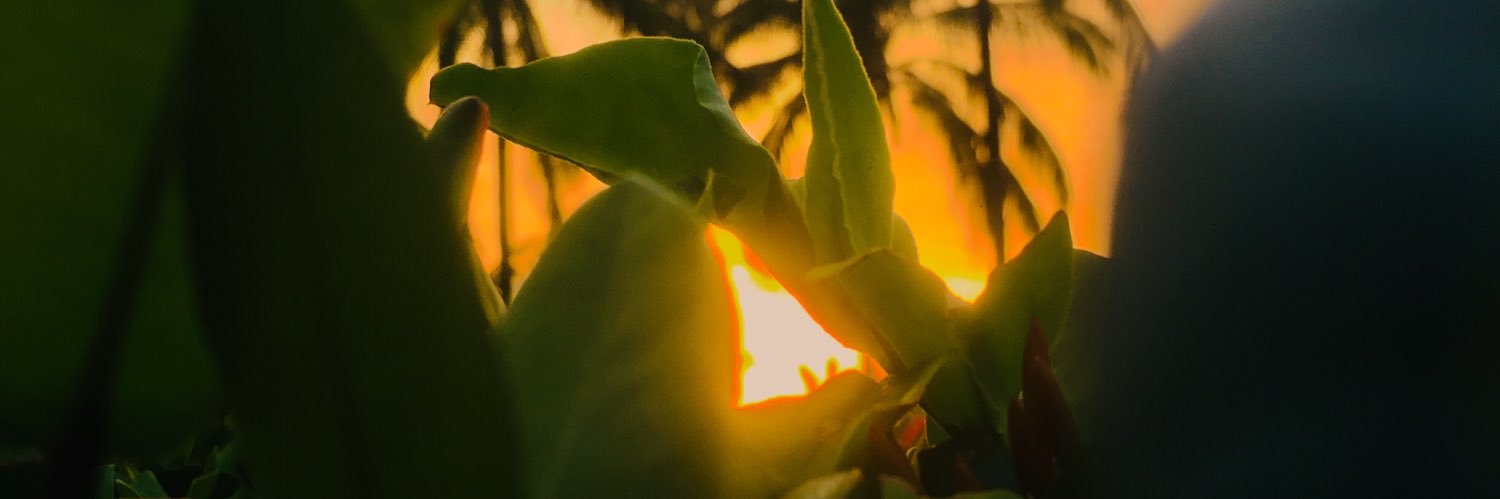 𝗔𝘃𝗹𝗮𝘀 𝗦𝗮𝗹𝘃𝗮𝘁𝗼𝗿𝘆 banner