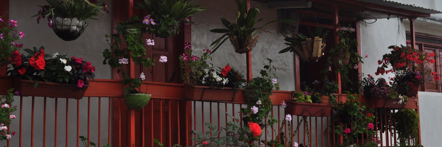 Café Siete Ríos banner