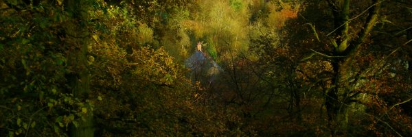 paul_vare Profile Banner