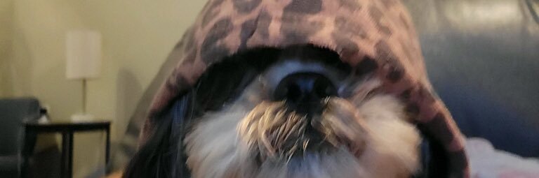 jeffery_boot's profile banner image