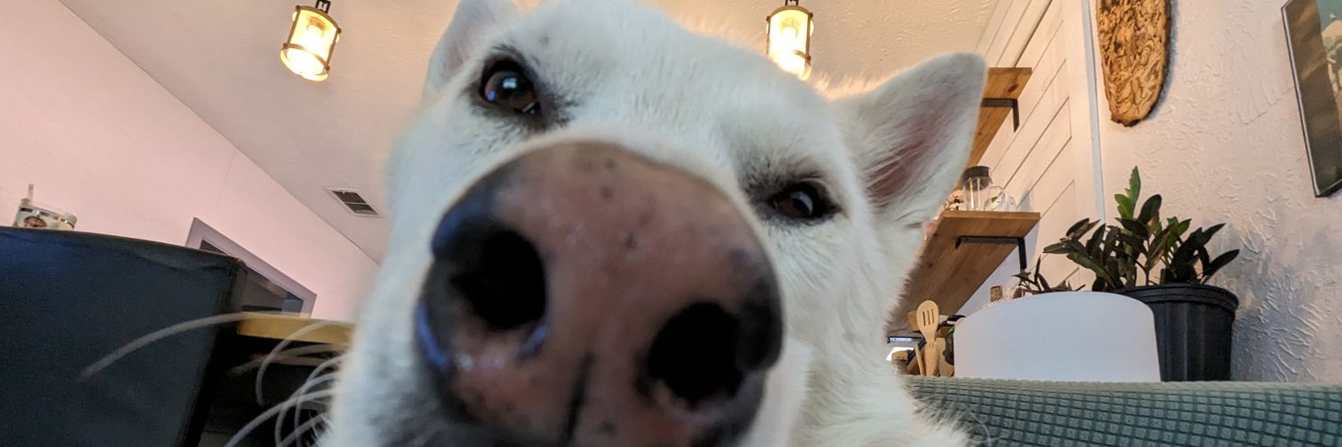 hugwhore_'s profile banner image