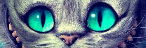 podsjg's profile banner image