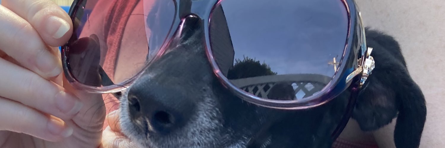 piglets71's profile banner image