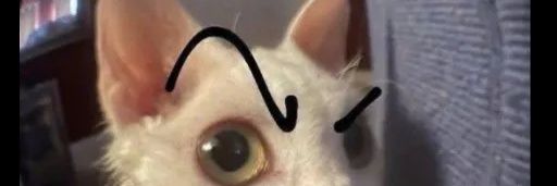 itslino_'s profile banner image