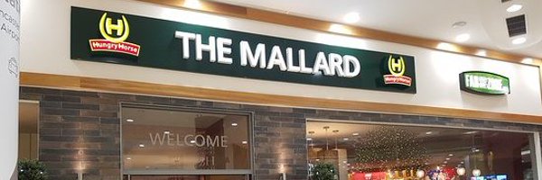 Mallard, Hungry Horse Profile Banner