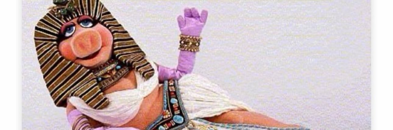 MISS BIP's banner