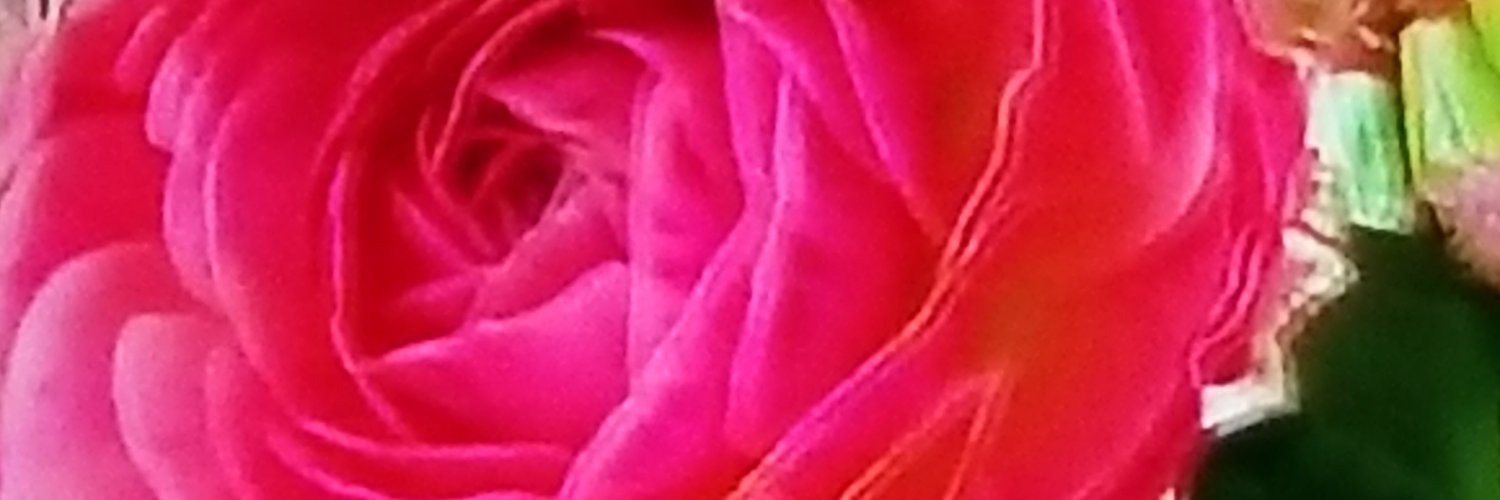 Shio_84_Y's profile banner image