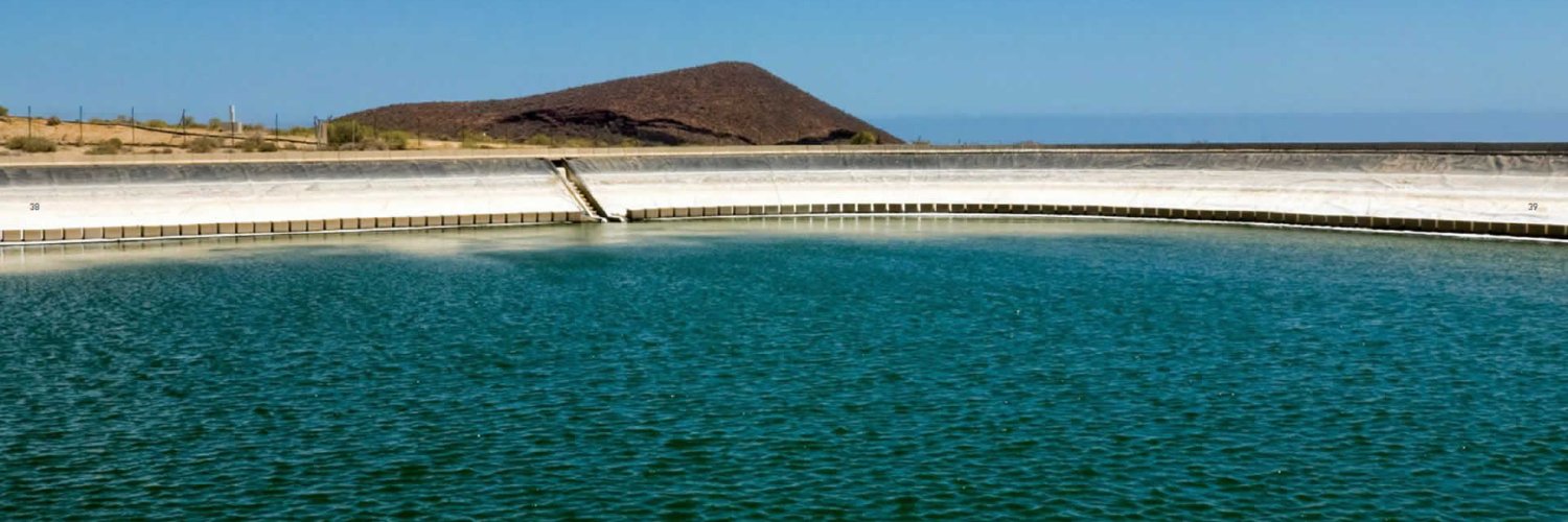 Sector Primario y Bienestar Animal Tenerife banner