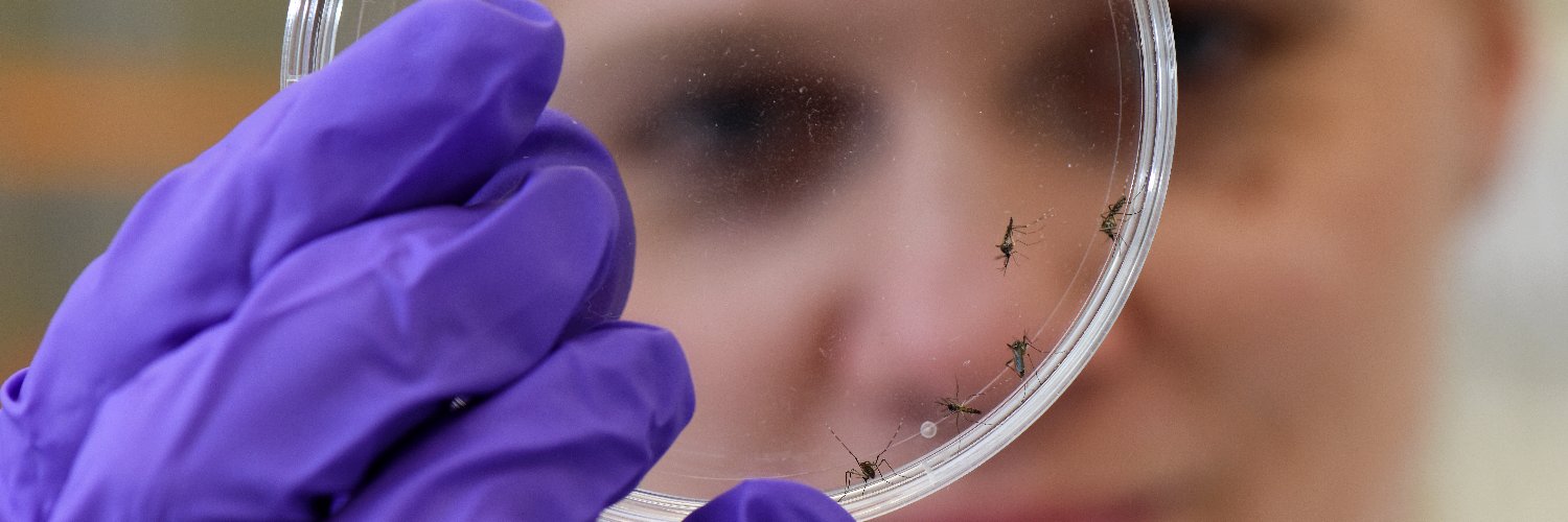LSHTM_malaria's banner