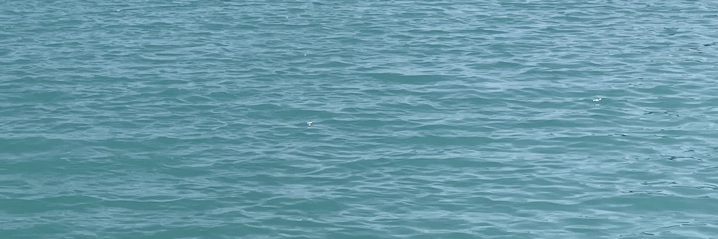 ConMatthewBooks's profile banner image