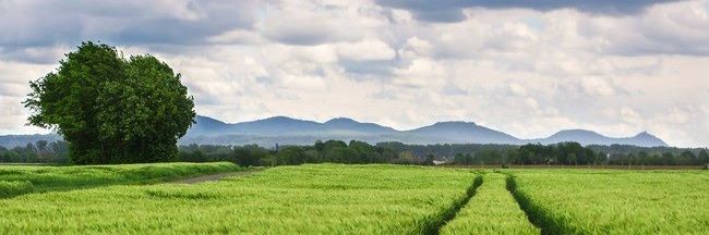 EnvirStudies's profile banner image