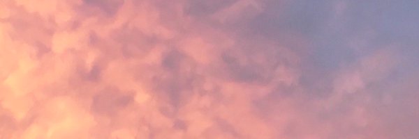 TiffanyTanEd Profile Banner