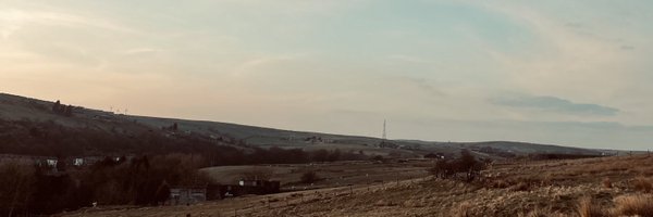 lucebernie Profile Banner
