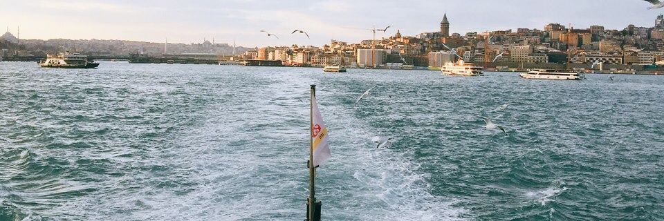 Feeroozaaa's profile banner image