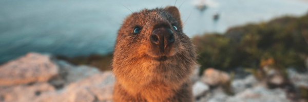 chuchitboonthav Profile Banner