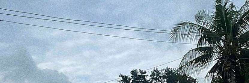 bernardbulletln's profile banner image