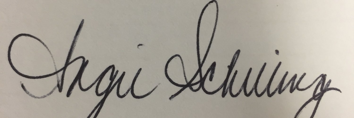 schillanator's profile banner image