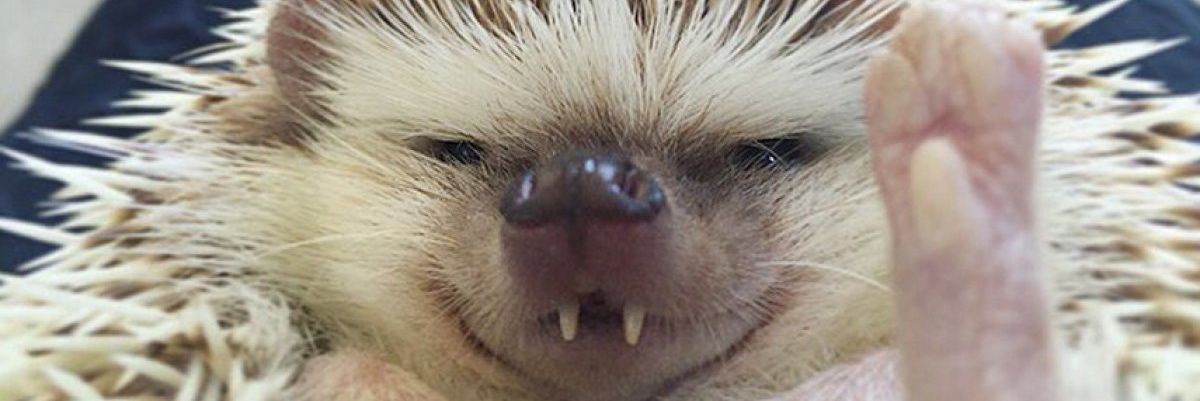 bronislawmrozek's profile banner image