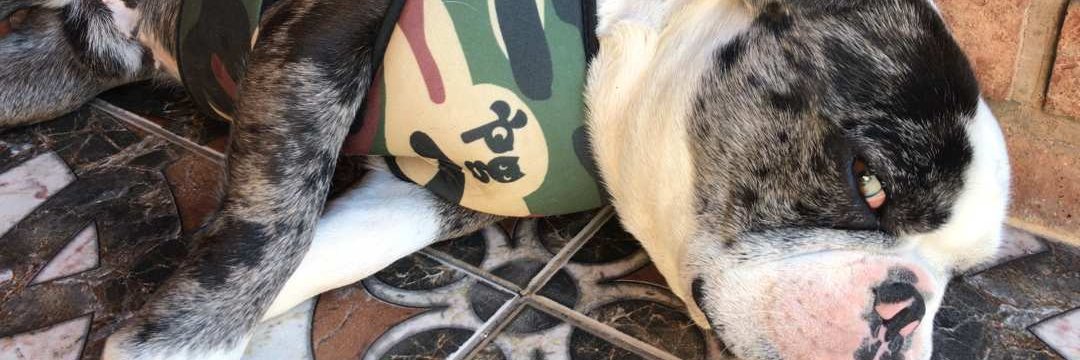 LUBENHUUUU ^_^ o saznonymous banner