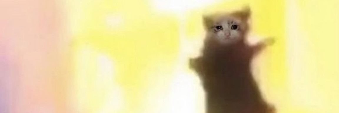 Pontoderuptura1's profile banner image