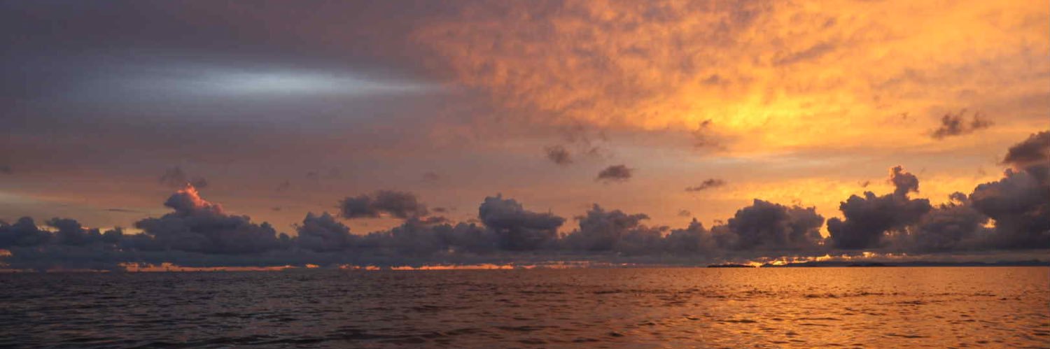 Nghẹo (✱,✱) banner