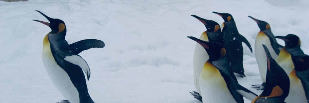 TOKSK's profile banner image