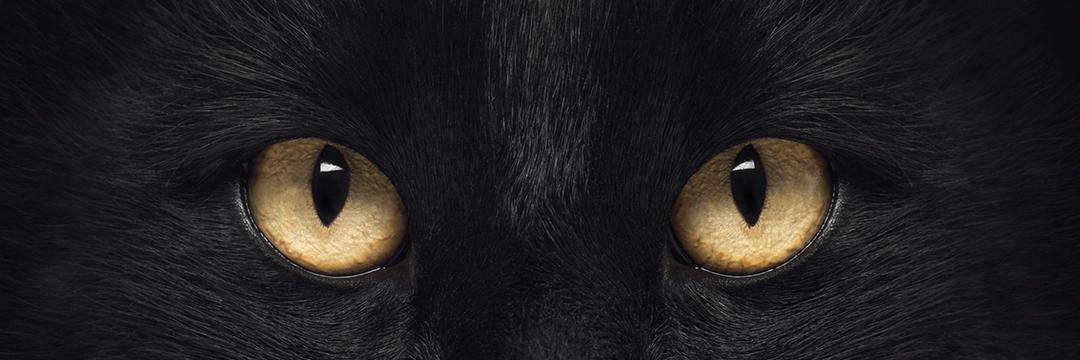 sherza95's profile banner image