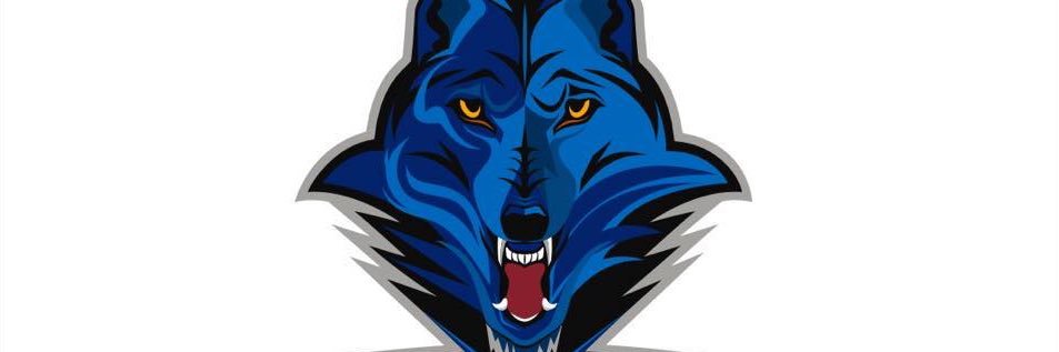 Renfrew Wolves banner