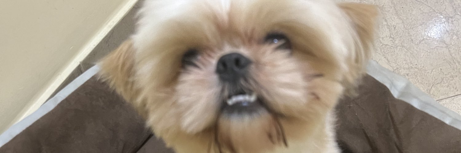 jão banner