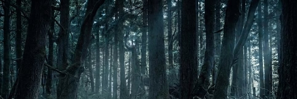 hylassss's profile banner image