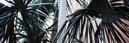 esmaysmidt's profile banner image
