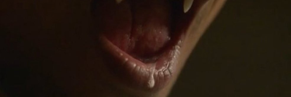 para 🔞 vamp pee warrior banner