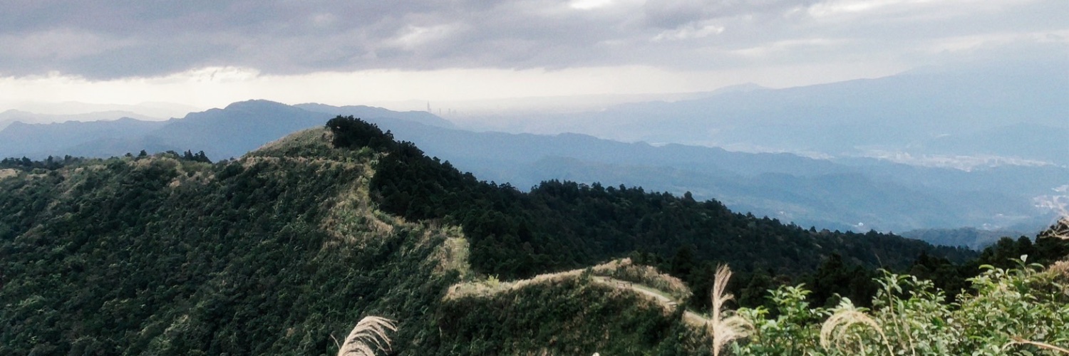 Kala Kuo banner
