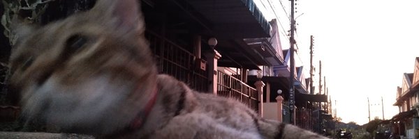 MJui191 Profile Banner