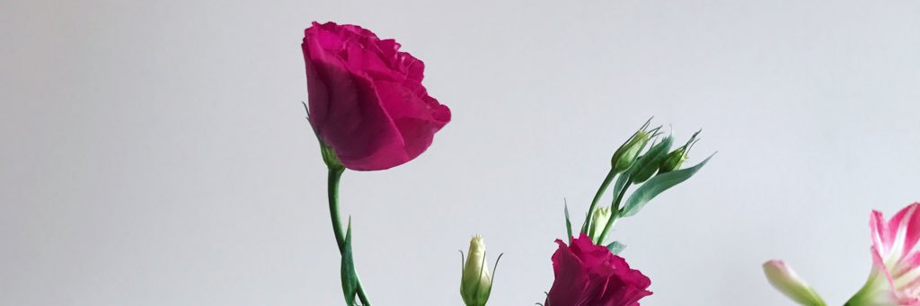 beccamacncheese's profile banner image