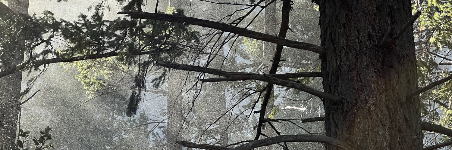 ejcy's profile banner image